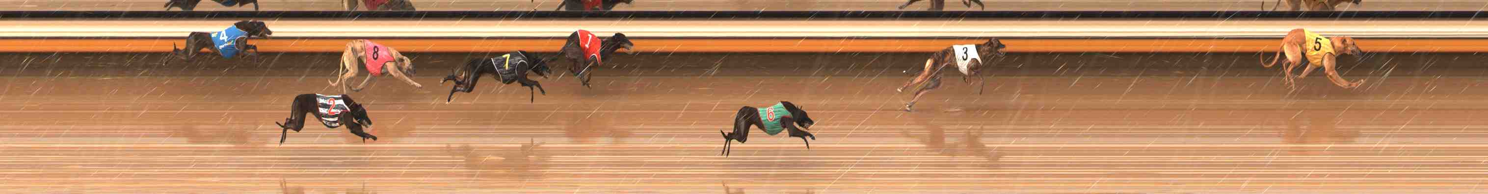 Photo finish for Warrnambool Race 1