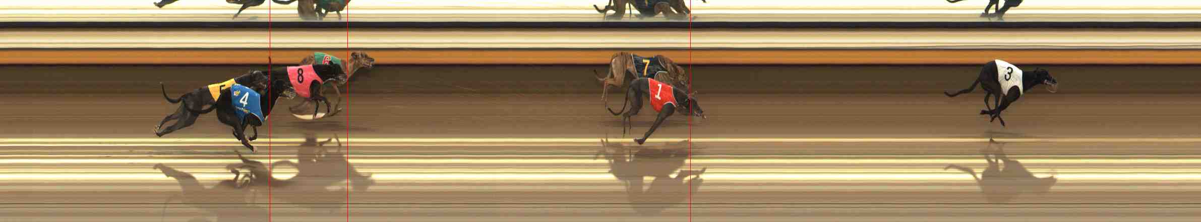 Photo finish for Warrnambool Race 2