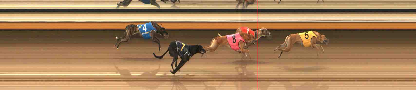 Photo finish for Warrnambool Race 3