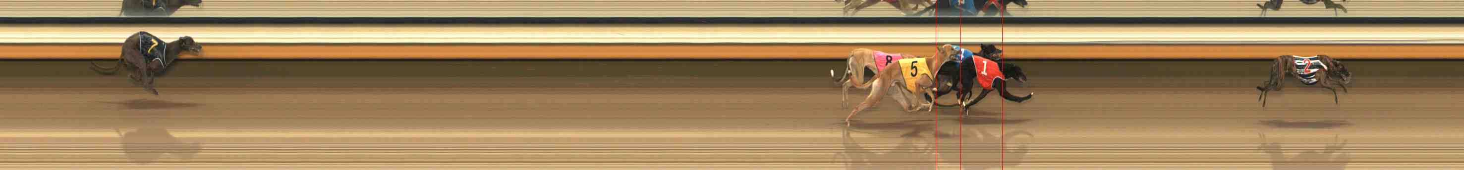 Photo finish for Warrnambool Race 4