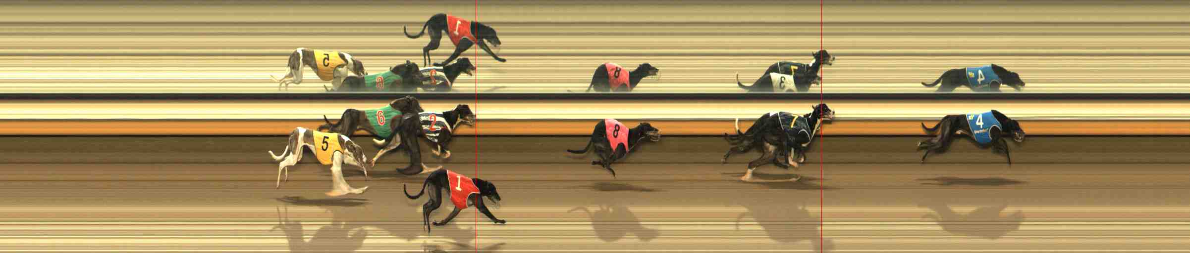 Photo finish for Warrnambool Race 5