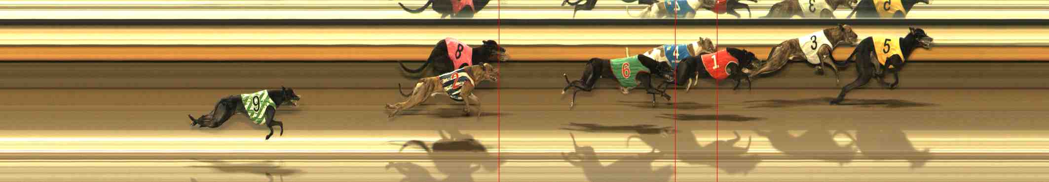 Photo finish for Warrnambool Race 6
