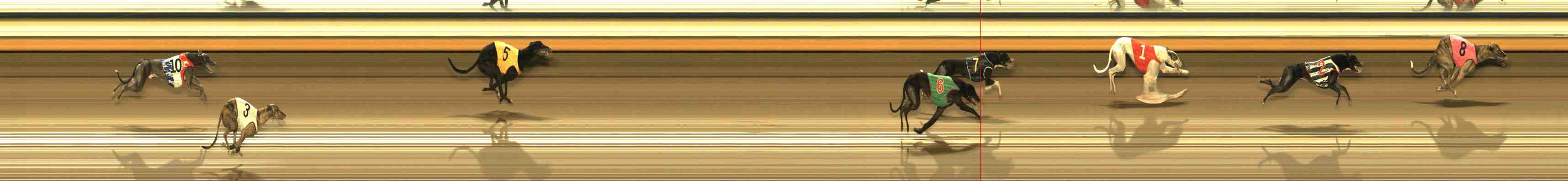 Photo finish for Warrnambool Race 7