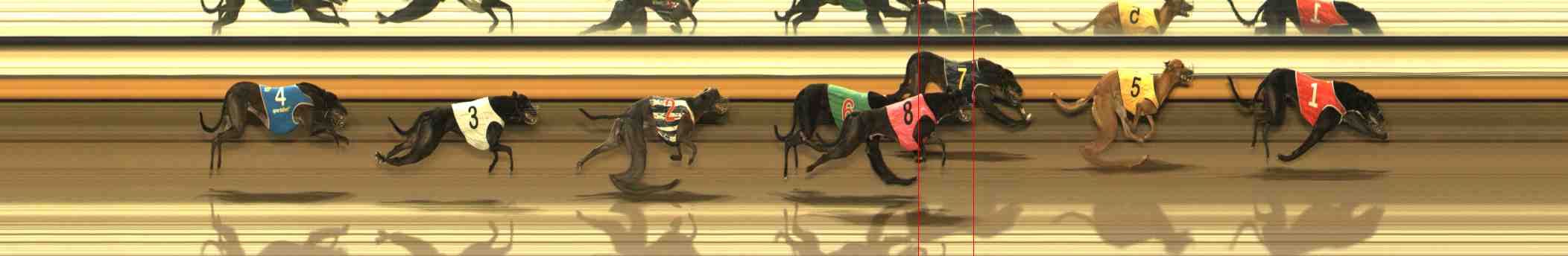 Photo finish for Warrnambool Race 8