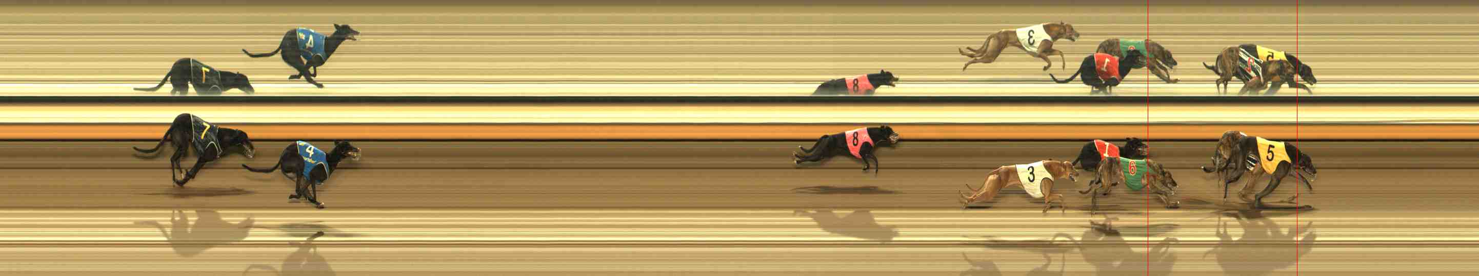 Photo finish for Warrnambool Race 9