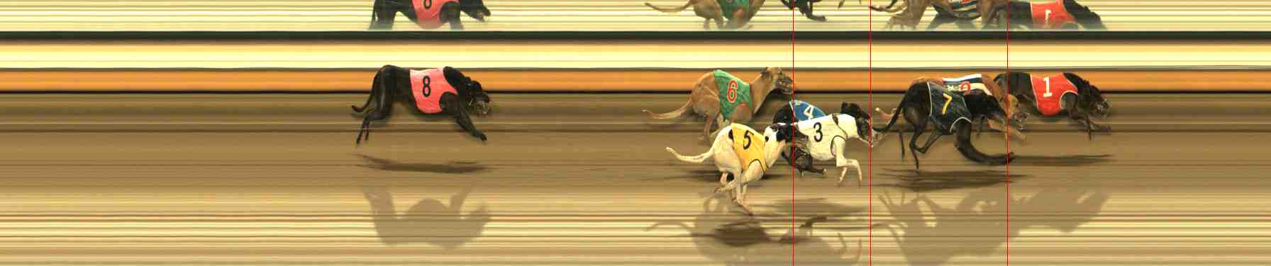 Photo finish for Warrnambool Race 10