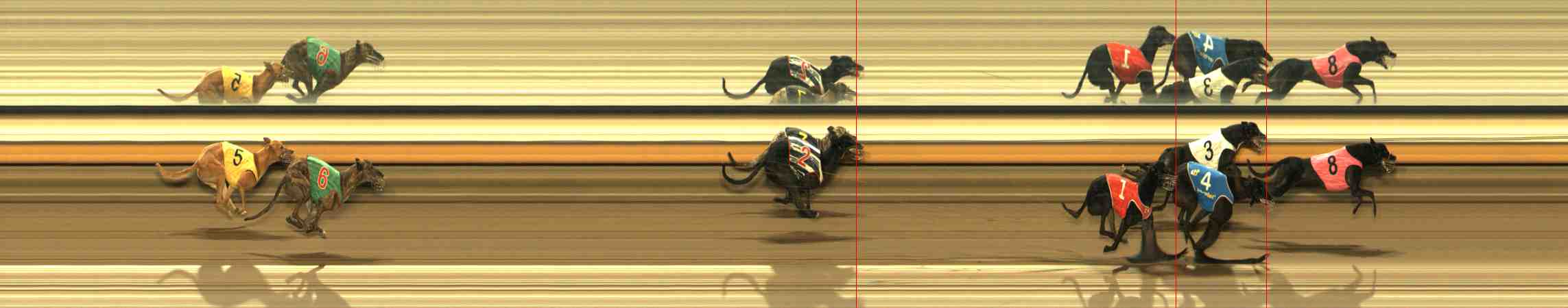 Photo finish for Warrnambool Race 11