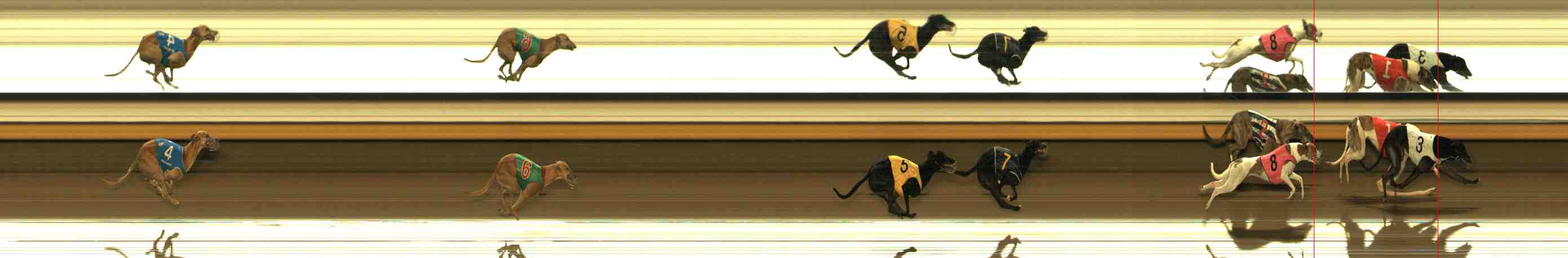 Photo finish for Warrnambool Race 12