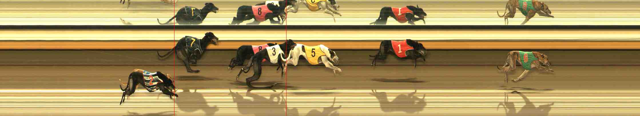 Photo finish for Warrnambool Race 13