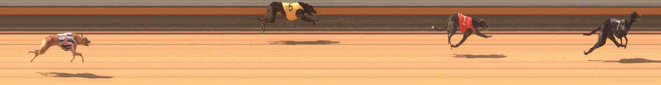 Photo finish for Warrnambool Race 1