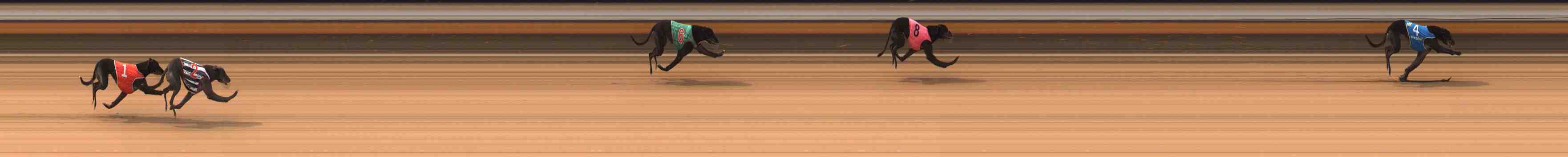 Photo finish for Warrnambool Race 2