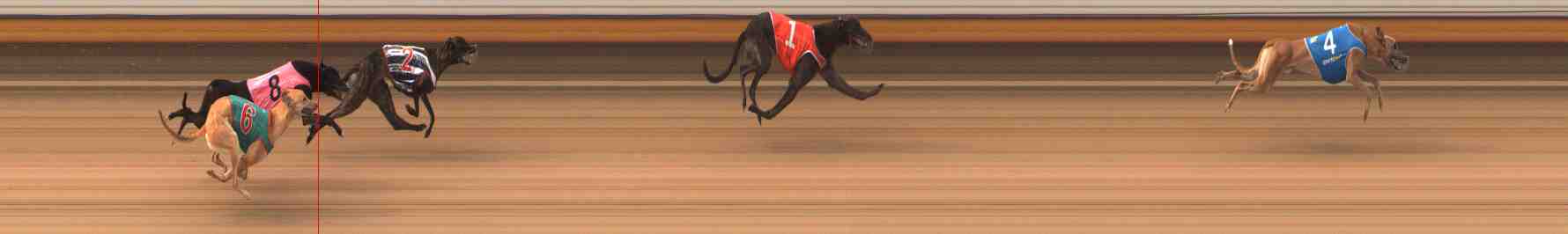 Photo finish for Warrnambool Race 3