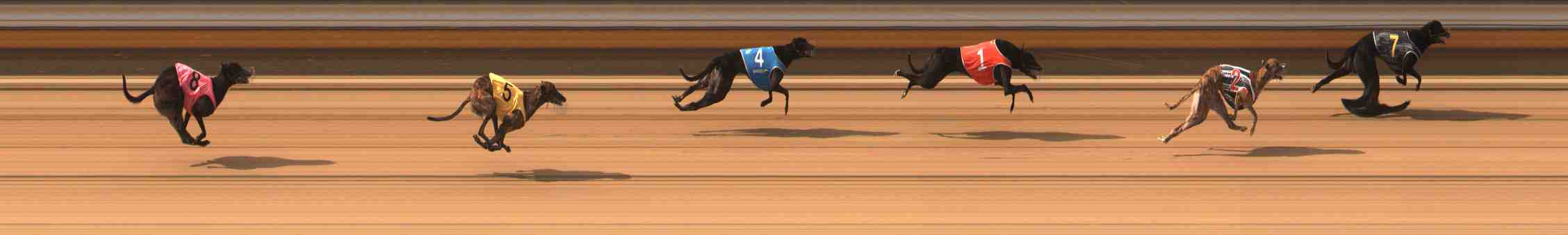 Photo finish for Warrnambool Race 4