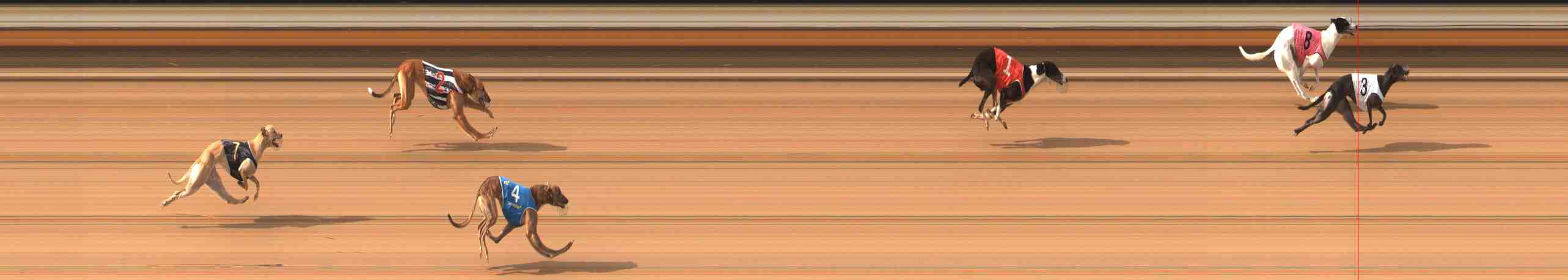 Photo finish for Warrnambool Race 5