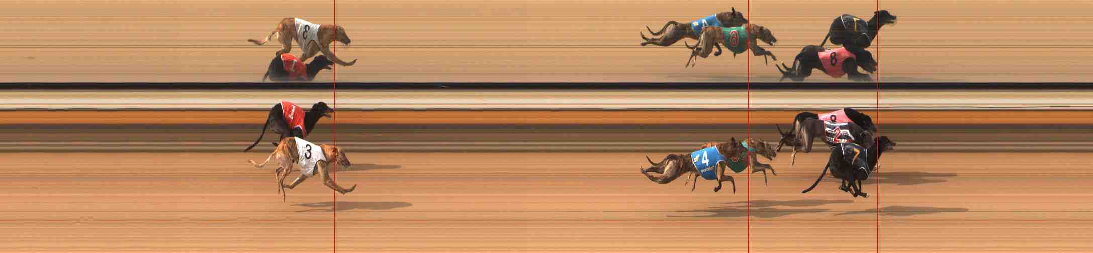 Photo finish for Warrnambool Race 6