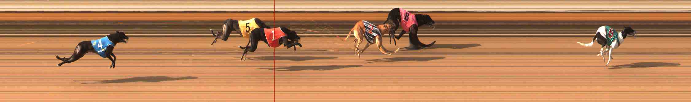 Photo finish for Warrnambool Race 7