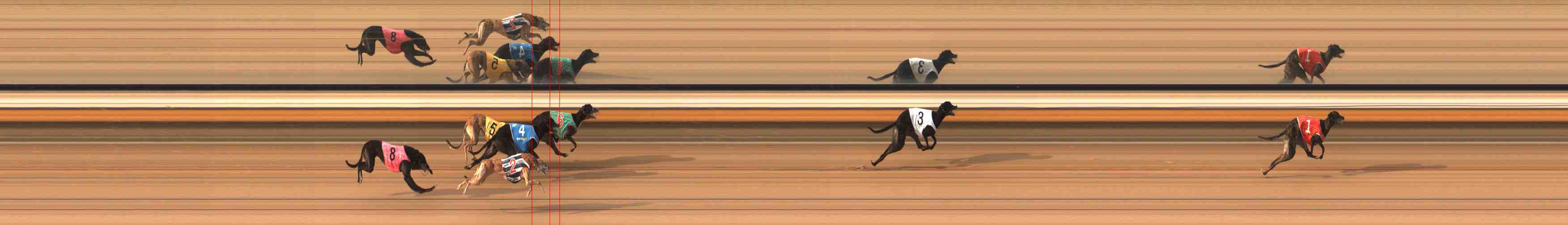 Photo finish for Warrnambool Race 8