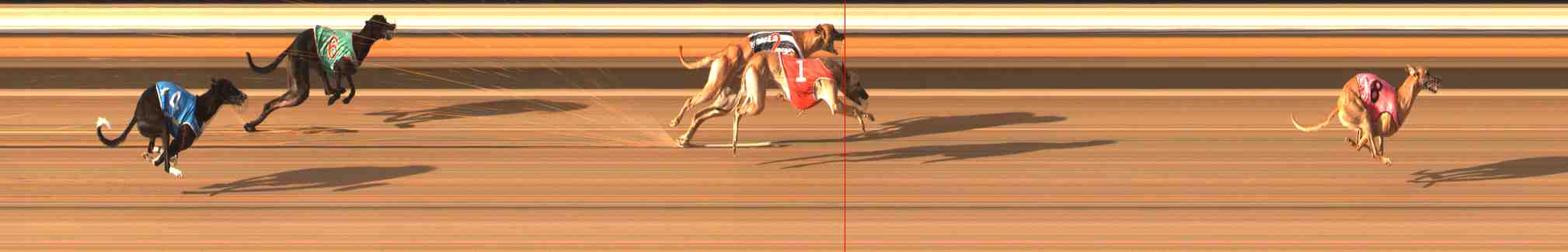 Photo finish for Warrnambool Race 9