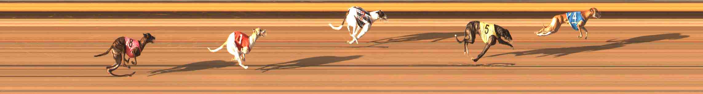 Photo finish for Warrnambool Race 10
