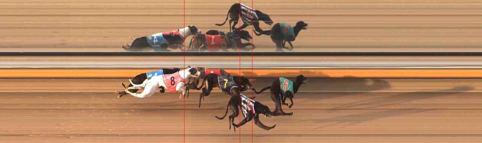 Photo finish for Warrnambool Race 11