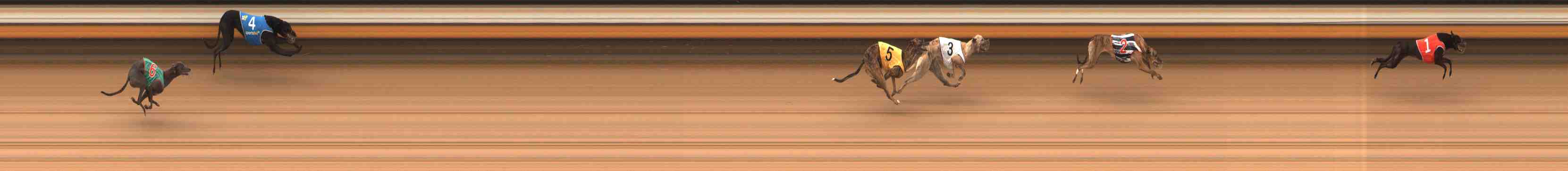 Photo finish for Warrnambool Race 1