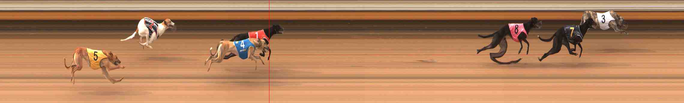 Photo finish for Warrnambool Race 2