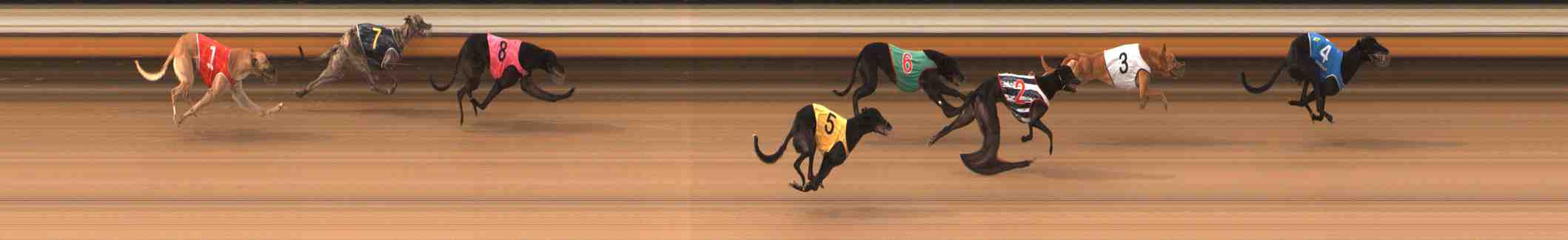 Photo finish for Warrnambool Race 3