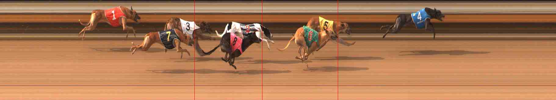 Photo finish for Warrnambool Race 4