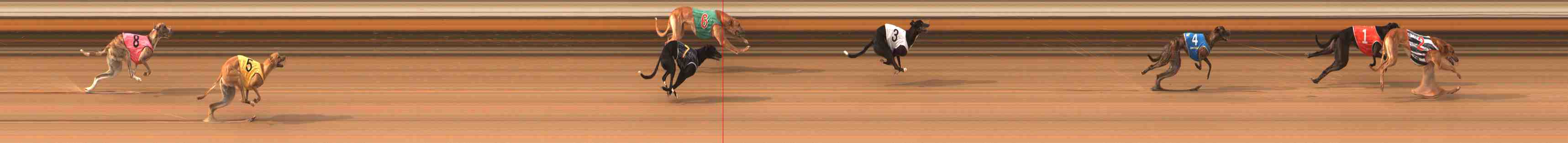 Photo finish for Warrnambool Race 5