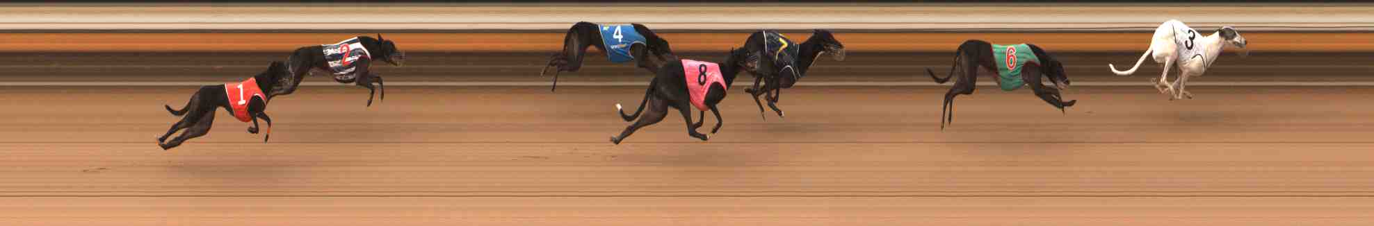Photo finish for Warrnambool Race 6