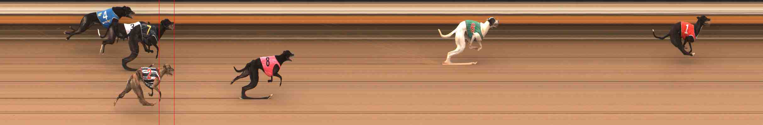 Photo finish for Warrnambool Race 7