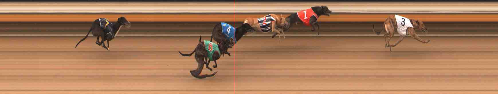 Photo finish for Warrnambool Race 8