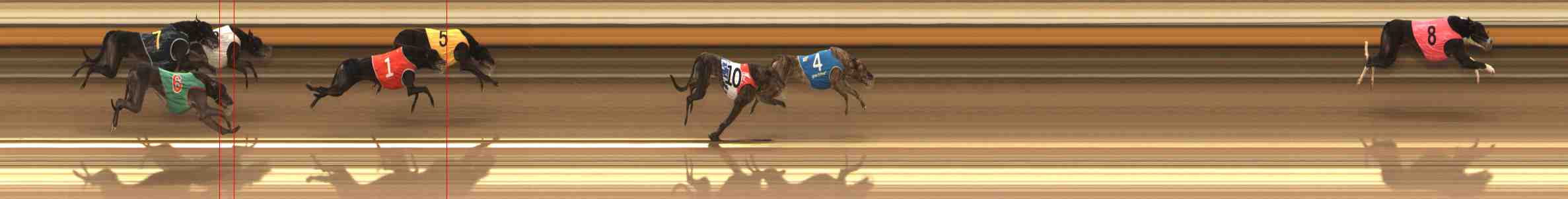 Photo finish for Warrnambool Race 9