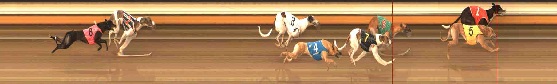 Photo finish for Warrnambool Race 10