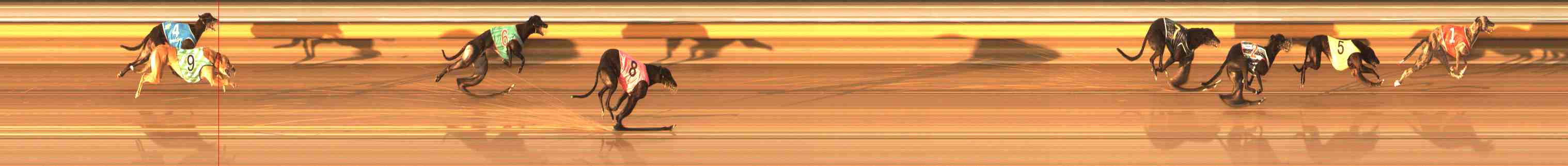 Photo finish for Warrnambool Race 11