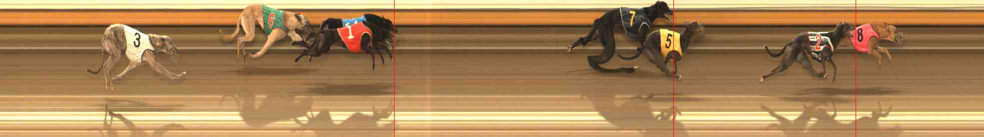 Photo finish for Warrnambool Race 12