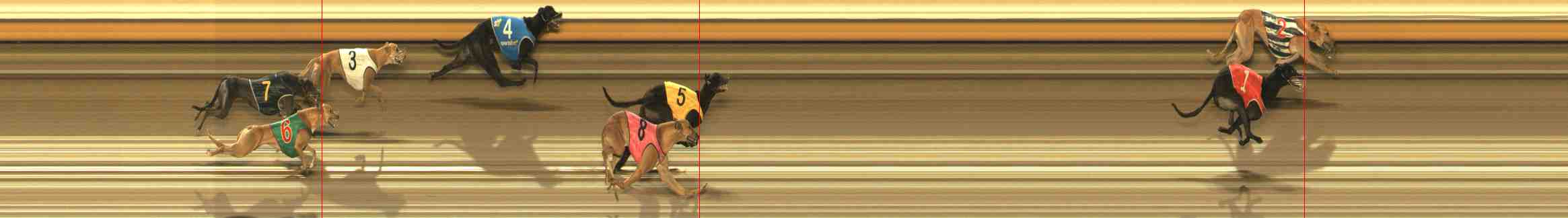 Photo finish for Warrnambool Race 13