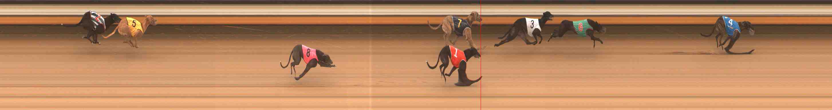 Photo finish for Warrnambool Race 1
