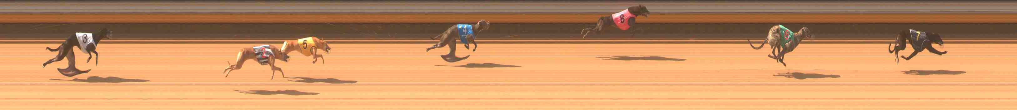 Photo finish for Warrnambool Race 2
