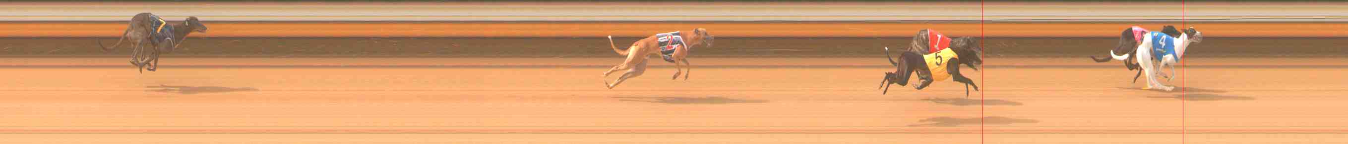 Photo finish for Warrnambool Race 3