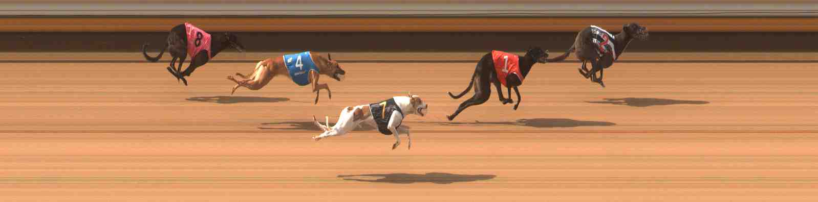 Photo finish for Warrnambool Race 4