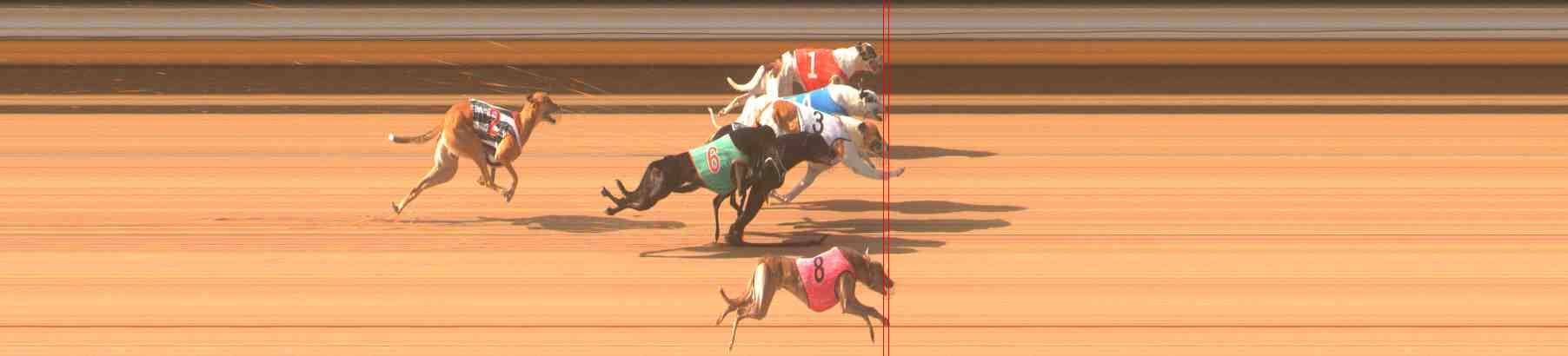 Photo finish for Warrnambool Race 5