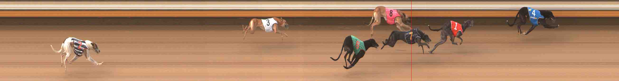 Photo finish for Warrnambool Race 6