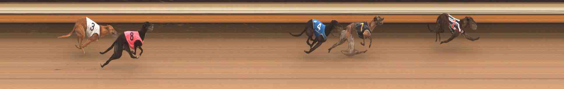 Photo finish for Warrnambool Race 7
