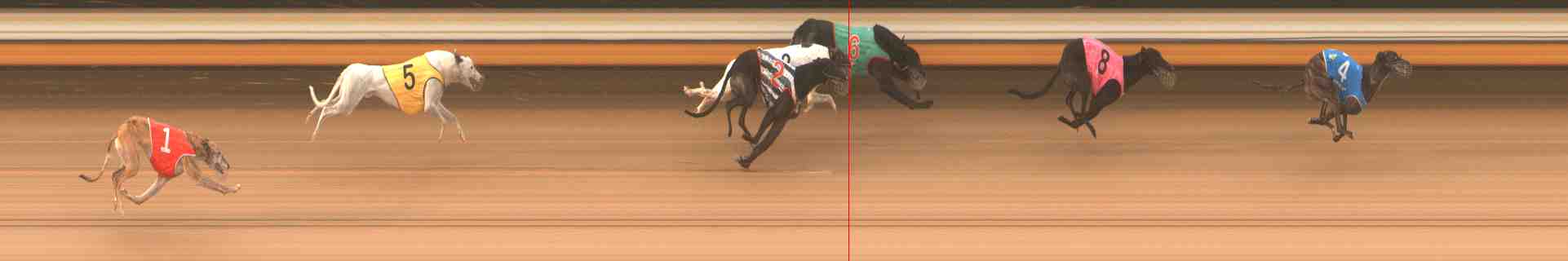 Photo finish for Warrnambool Race 8