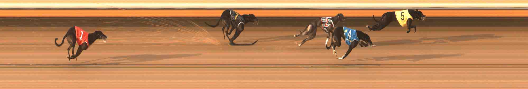 Photo finish for Warrnambool Race 9