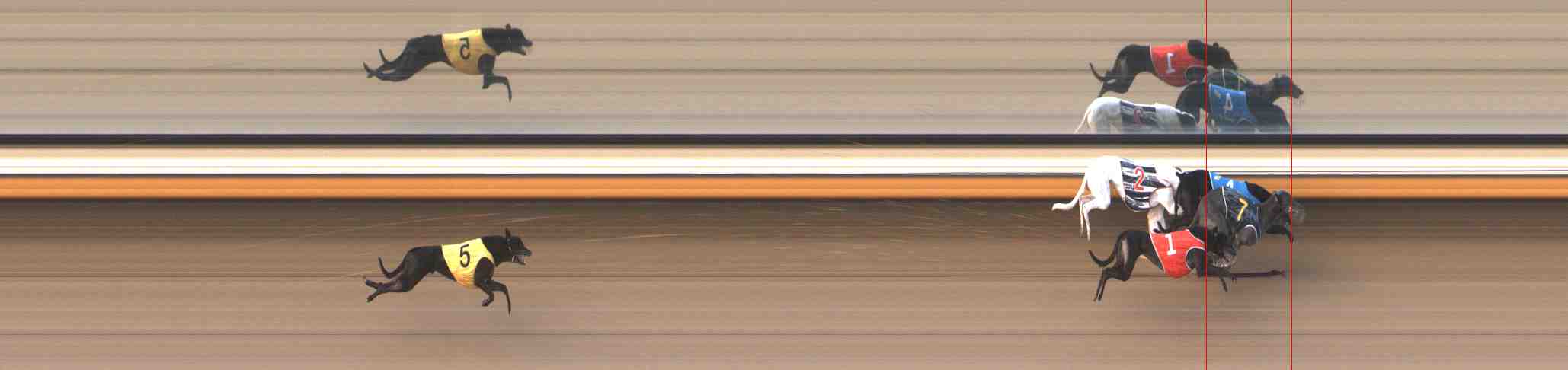 Photo finish for Warrnambool Race 10