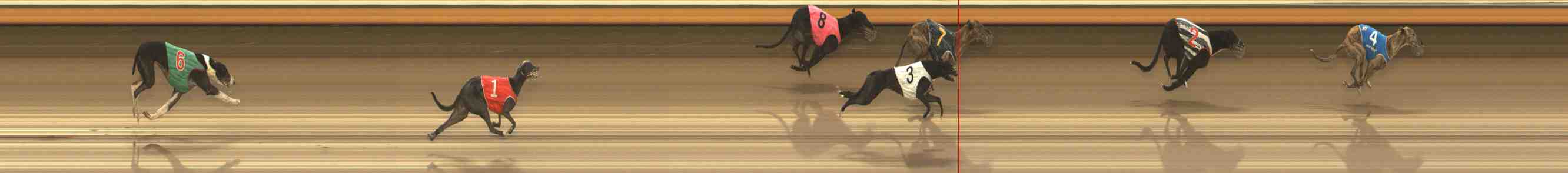 Photo finish for Warrnambool Race 11