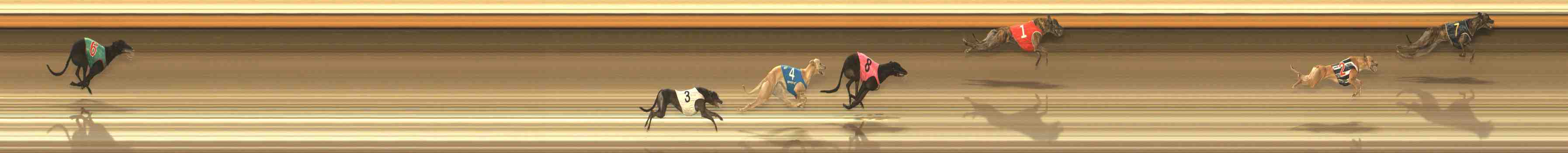 Photo finish for Warrnambool Race 12