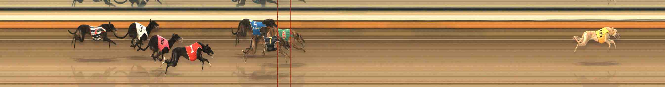 Photo finish for Warrnambool Race 1